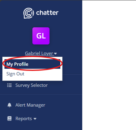 Open the account menu and choose My Profile